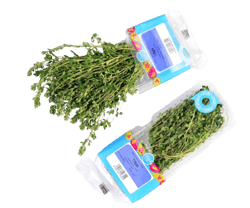 Titbit Thyme cut, pack