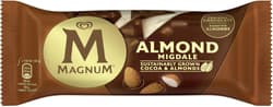 Magnum Almond nanuk