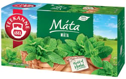 Teekanne Mint Tea