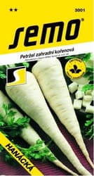 SEMO Parsley root - HANÁCKÁ late