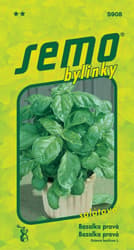 SEMO Basil LETTUCE LEAF salad