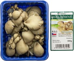 Oyster mushrooms