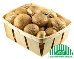 BIO Mushrooms brown (creamy), tray