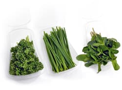 Titbit 3pack chives, parsley curls, mint