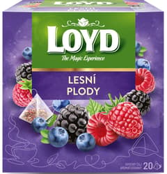 Loyd pyramida Lesní plody
