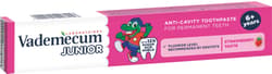 Vademecum Strawberry toothpaste junior 6+