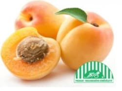BIO Apricots, loose