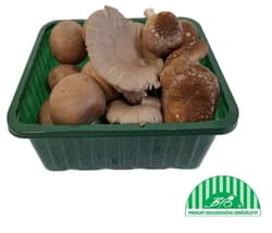 BIO Mixture of cultivated mushrooms (Trimix)