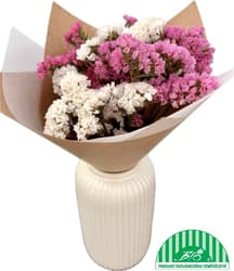 Vitenplant BIO Bouquet of limonium "Happy Rose"	