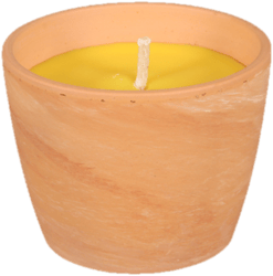 Citronella insect-repellent candle, GUZMANIA container 250 g, Ø10 x 8 cm