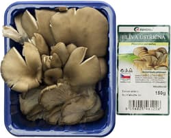 Oyster mushrooms