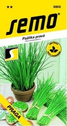 Seeds, seedlings and bulbous plants for planting