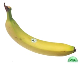 Organic fruit