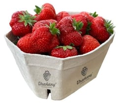 Strawberries and wild berries