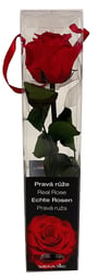Floral decorations and arranging
