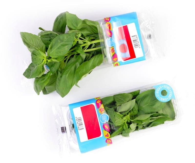 Titbit Thai basil cut, package