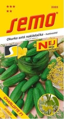 SEMO Cucumber CHARLOTTE F1