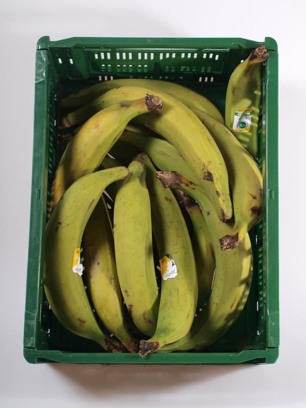 Plantain banán 1 ks