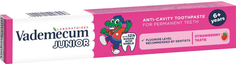 Vademecum Strawberry toothpaste junior 6+