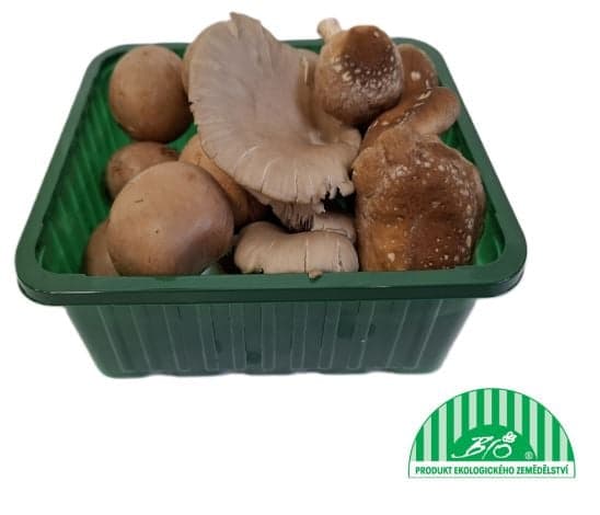 BIO Mixture of cultivated mushrooms (Trimix)