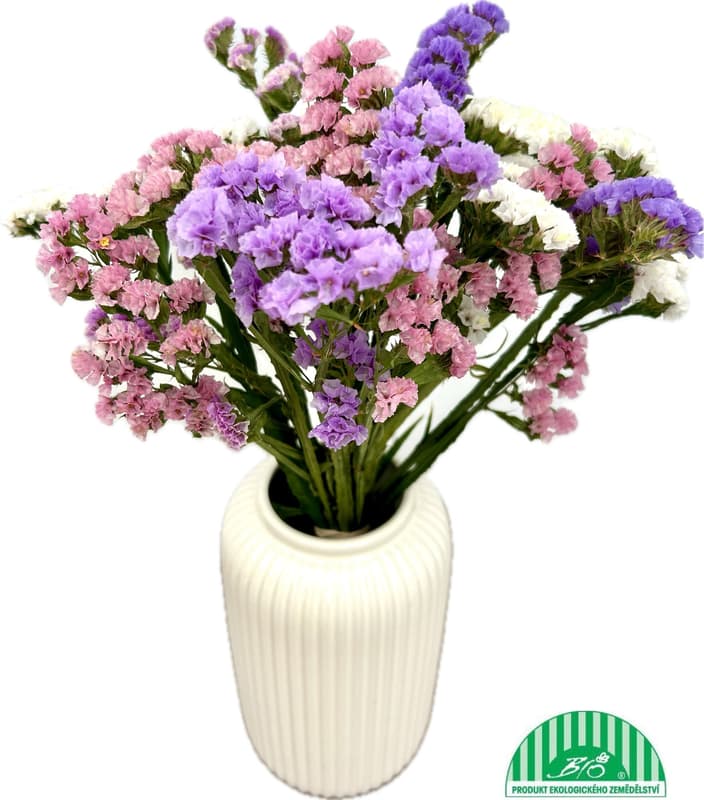 Vitenplant BIO Sušená kytice statice "Pastel Mix"