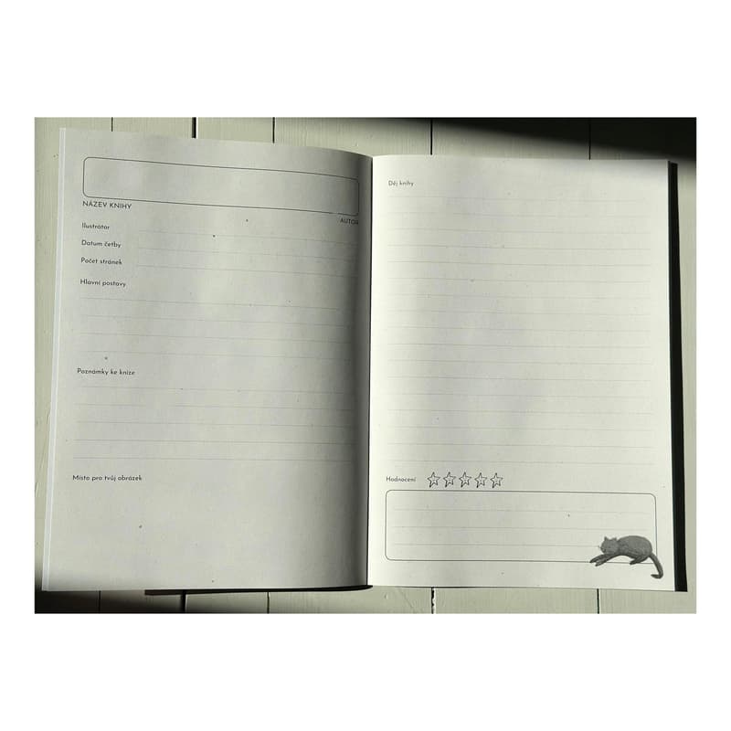 Be Nice EKO Reading Diary for Younger Children A4, No. 423
