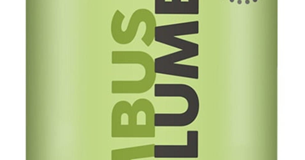 Isana Professional hairspray with bamboo extracts