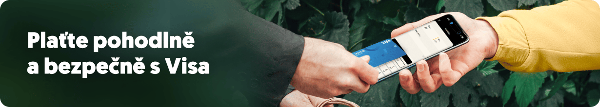 Plaťte pohodlně a bezpečně s Visa