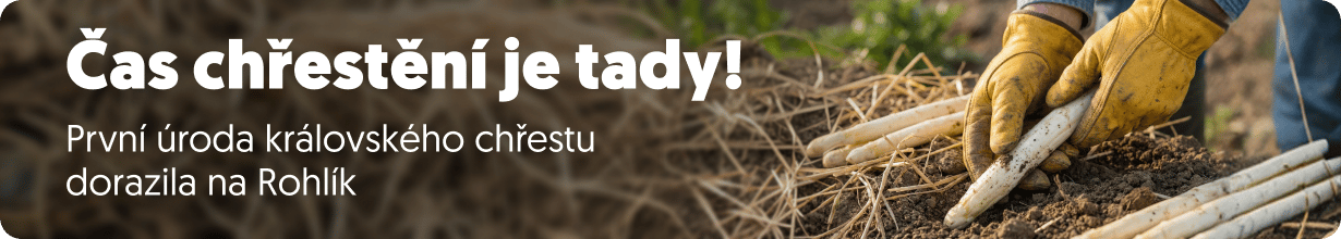 Chřestová sezóna na Rohlíku
