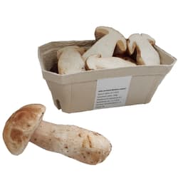 Boletus edulis - fresh, punnet