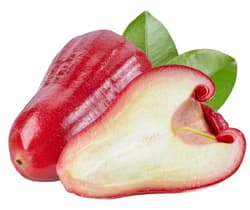 Hřebíčkovec (Rose apple) 1 ks