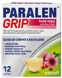 PARALEN GRIP HORKÝ NÁPOJ ECHINACEA A ŠÍPKY 500MG/10MG Granule pro perorální roztok v sáčku 12
