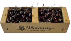 Farma Vraňany – Fresh cherries, basket