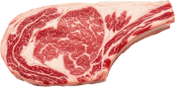 Sutcha PRIME bone-in Rib eye US