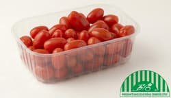 BIO cherry oválná rajčata, vanička