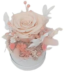 Flower box with stabilized rose