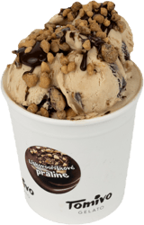 Tomivo Gelato Lískooříškové praline zmrzlina