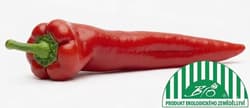 Bio Paprika červená špičatá 1ks