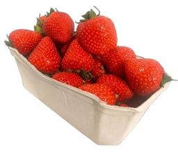 Fruit