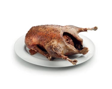 Svatomartinská husa