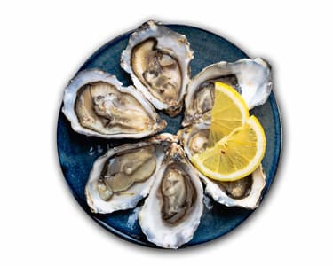 Ústřice s citronem