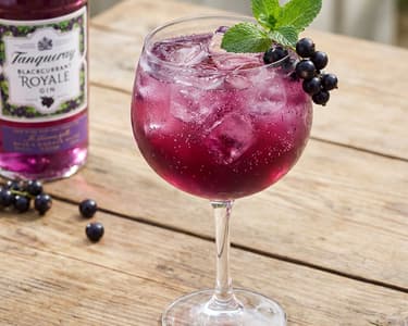 Tanqueray Blackcurrant Royale & Spritz
