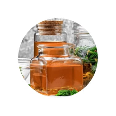 Smrkový sirup (proti kašli)