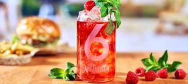 Amundsen Lemonade Malina