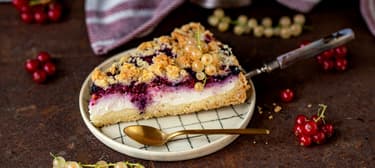 Drobenkový koláč s tvarohem a rybízem