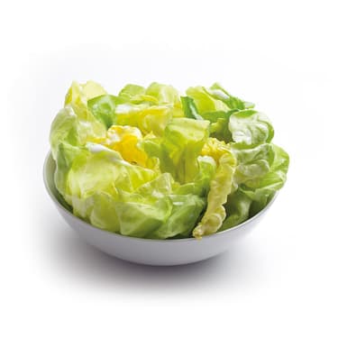 Hlávkový salát s mléčným dresinkem