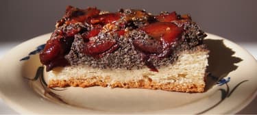 Kynutý koláč se švestkami a mákem