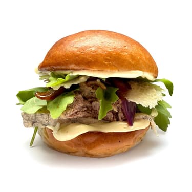 Burger s trhanou kachnou