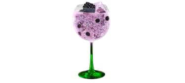 Tanqueray Blackcurrant Royale & Spritz