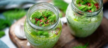 Pesto ze smrkových výhonků